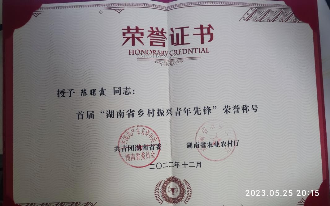 湖南荣誉上榜全攻略：如何助力地区与个人赢得全国文明称号